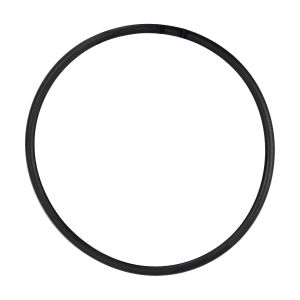 Filtros_EVANS_O_RING_122_20_1L