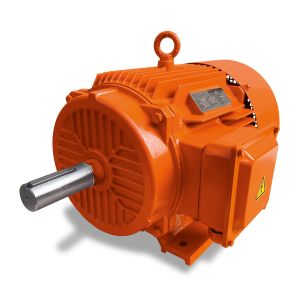Motores_EVANS_ET4ET1500_1L