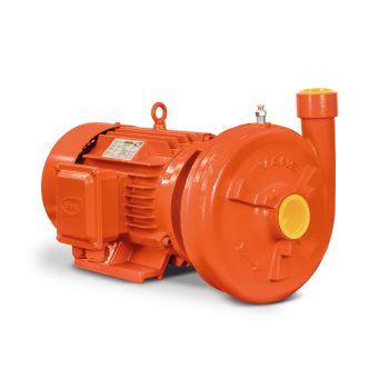 Bombas_de_Superficie_EVANS_MT1AME300_1L