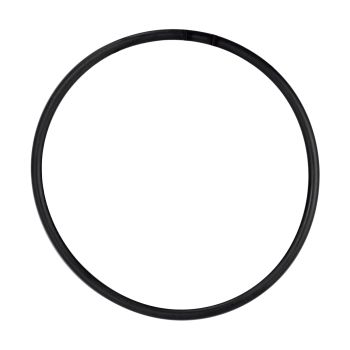 Filtros_EVANS_O_RING_121_10B_1L