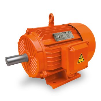 Motores_EVANS_ET4ET0750_1L
