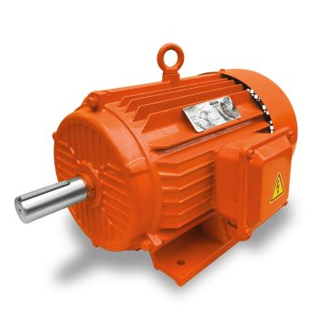 Motores_EVANS_ET4ET1000_1L