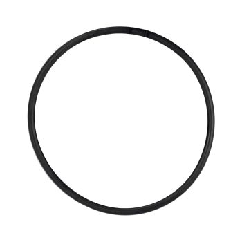 Purificadores_EVANS_O_RING_RO_COMER_1L