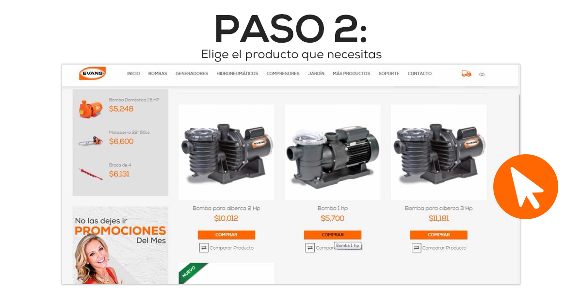 blg_evans_proceso-de-compra_2