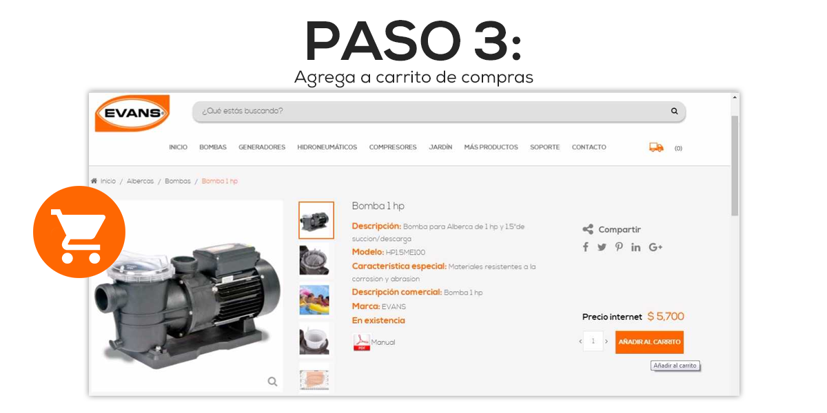 blg_evans_proceso-de-compra_3
