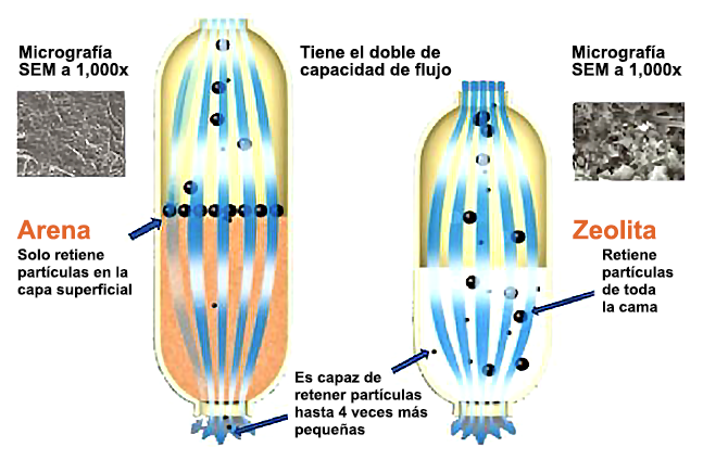 zeolita