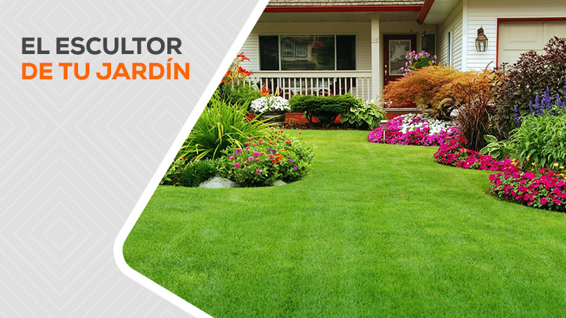 7 tips para mantener tu jardín ésta temporada de lluvias