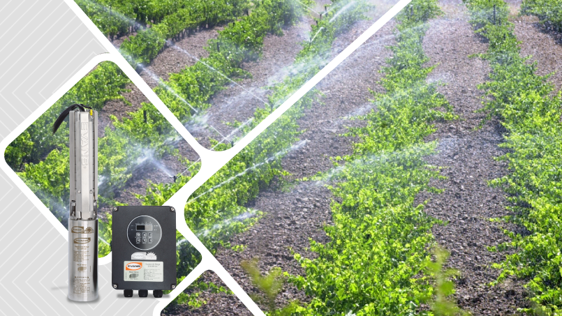 Sistema de riego solar, una solución al cambio climático