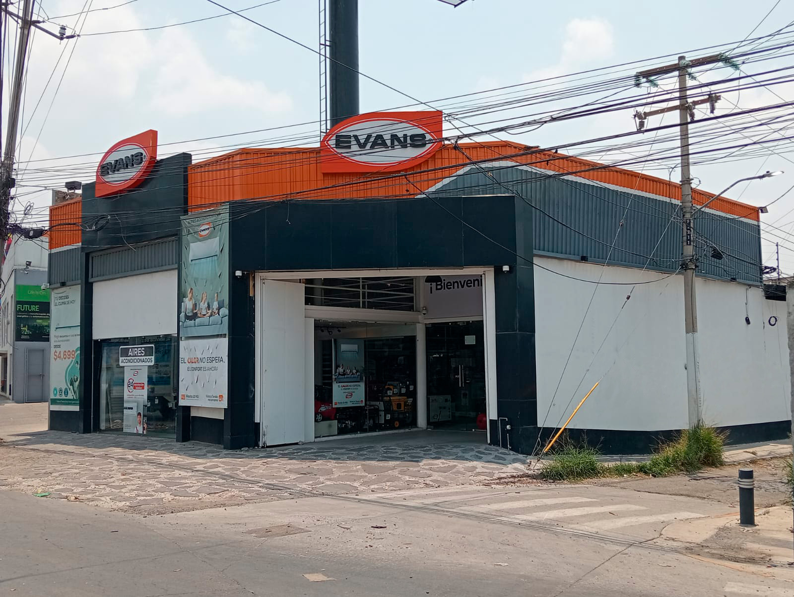 Tienda Evans® Bugambilias